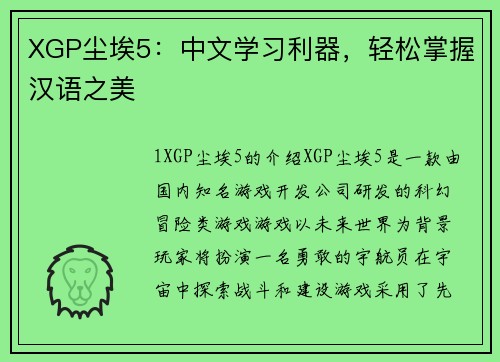 XGP尘埃5：中文学习利器，轻松掌握汉语之美